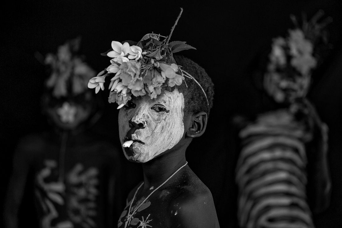 Flowers of Ethiopia 