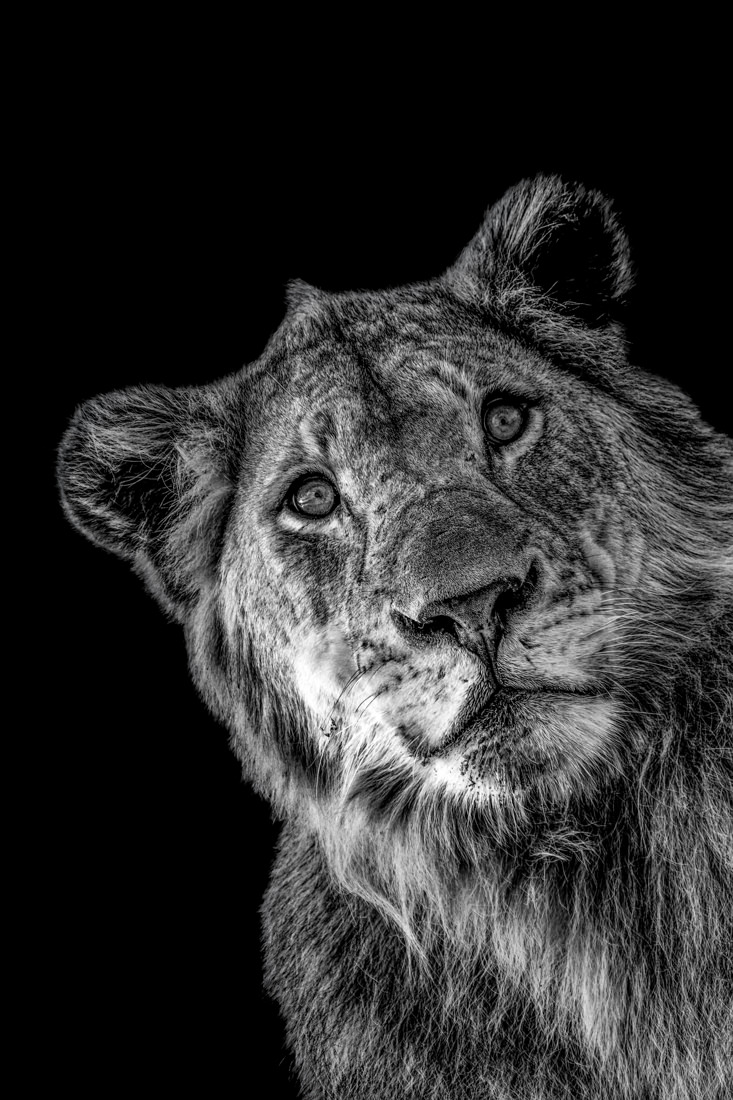 Predators and pray