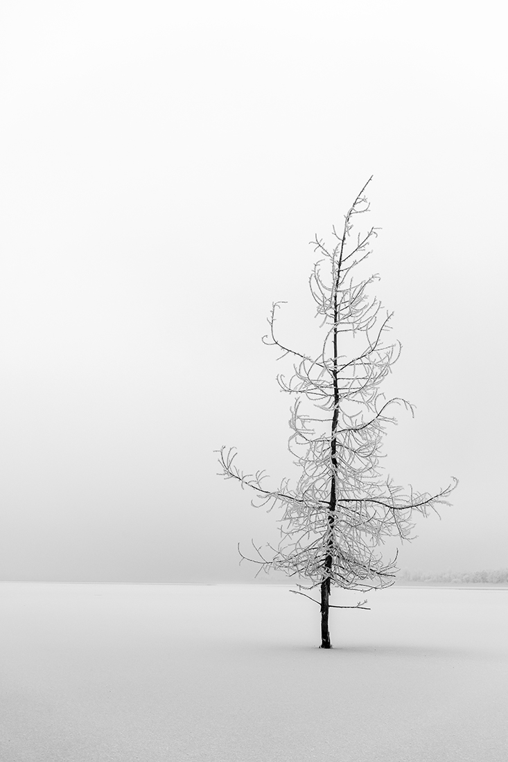 Frozen