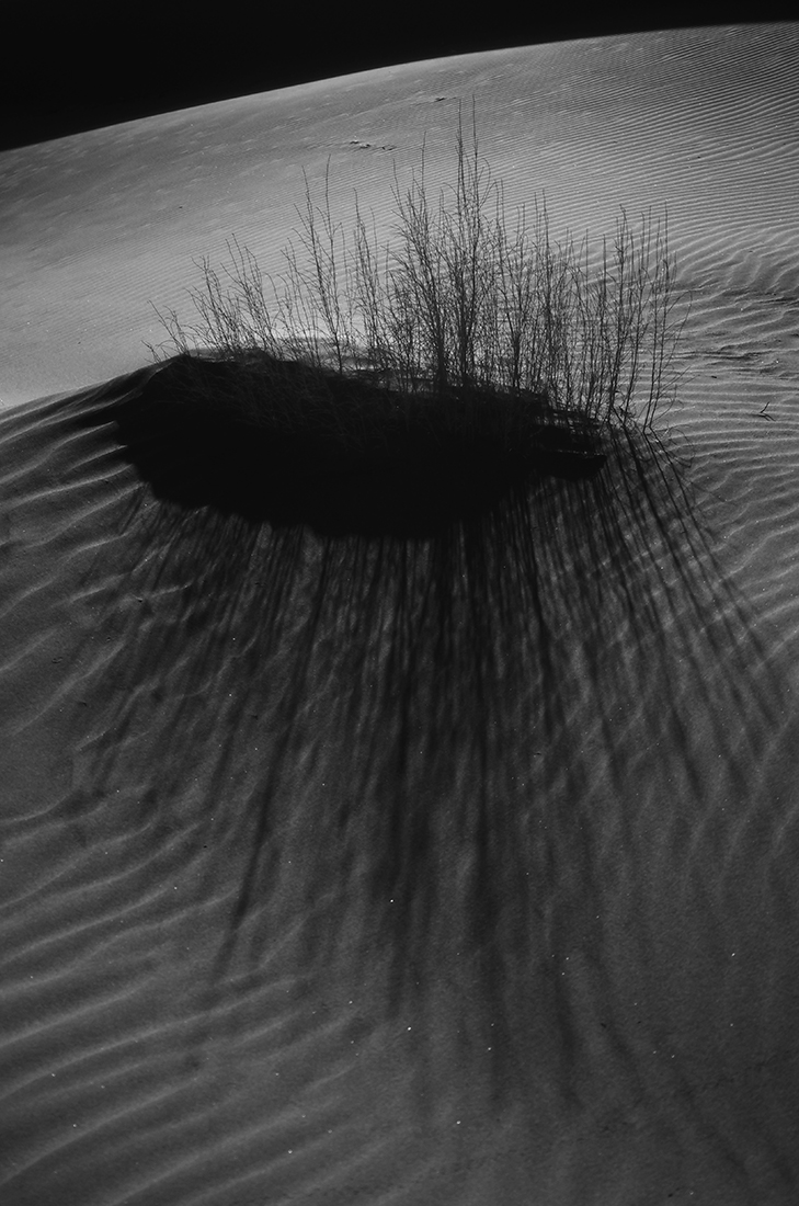 Desert