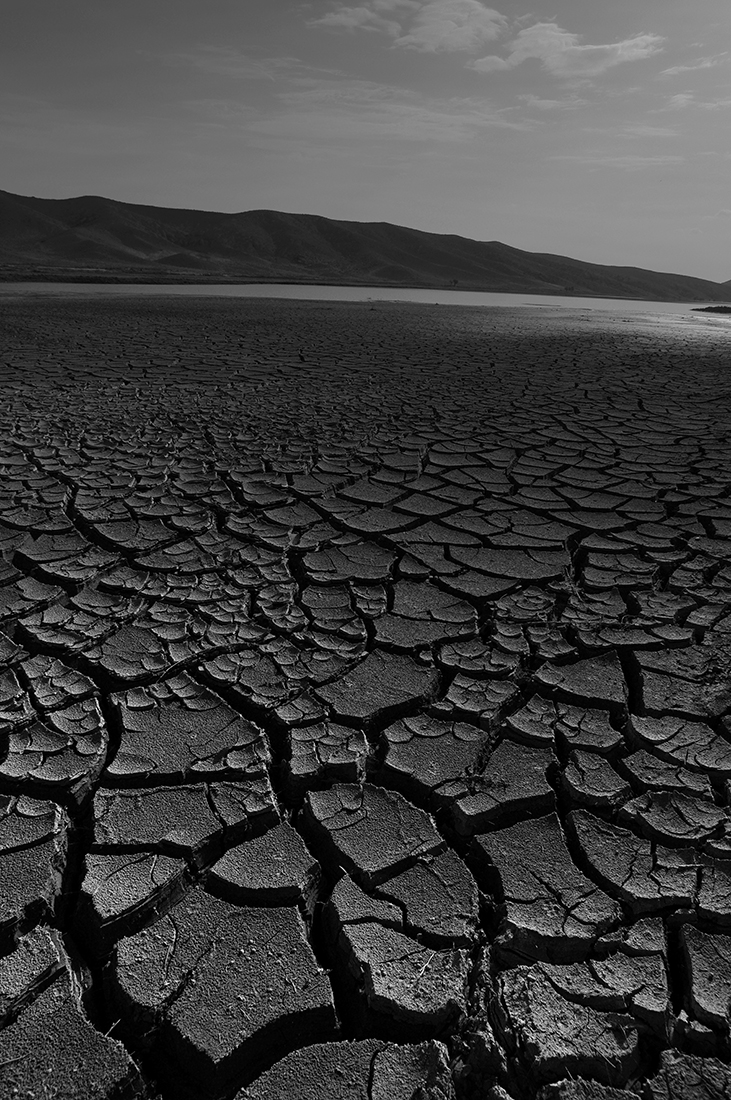 Desert