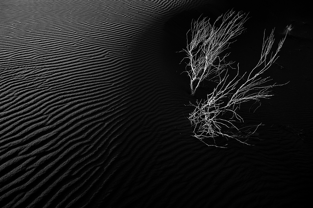 Desert