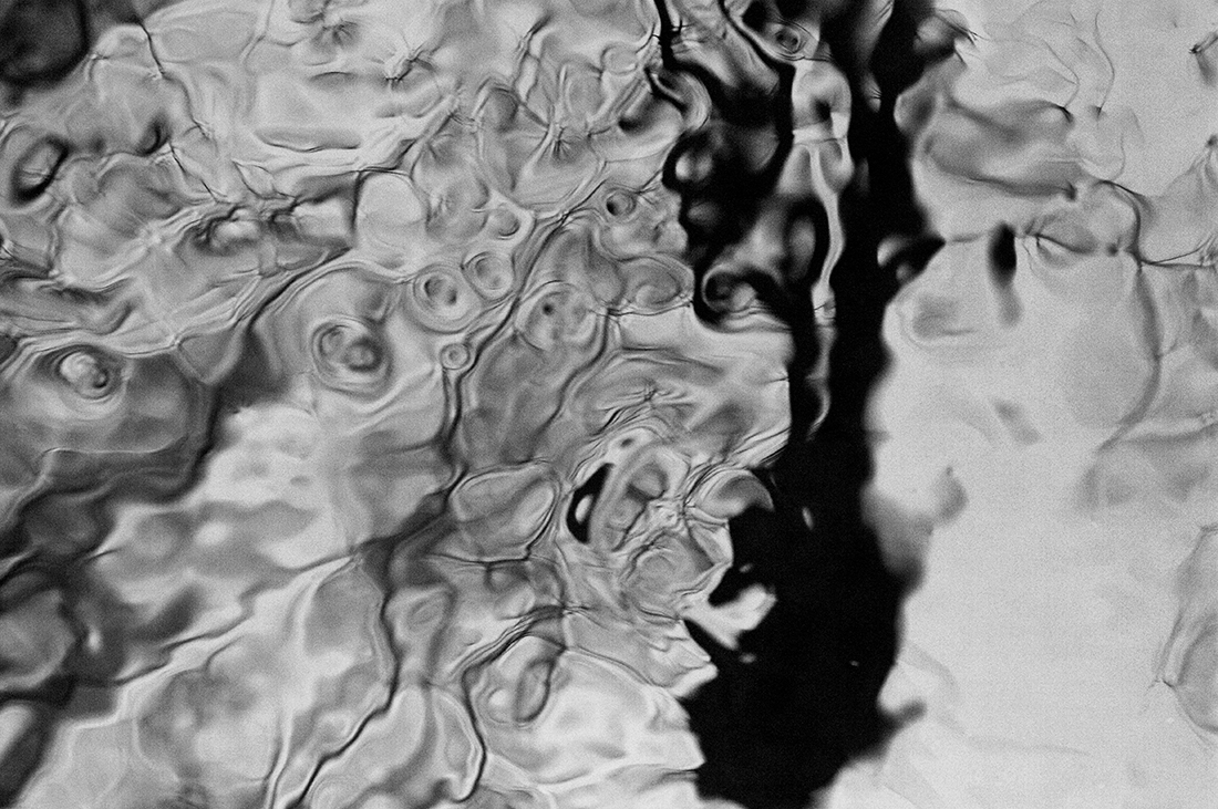 Water branches