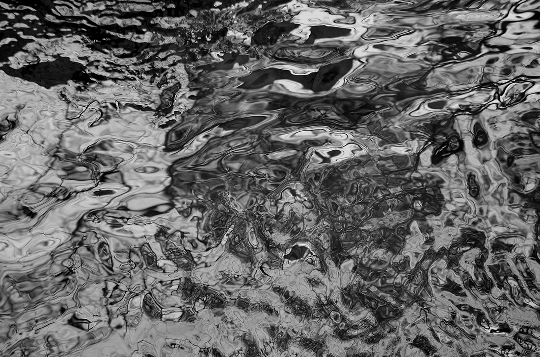 Water branches
