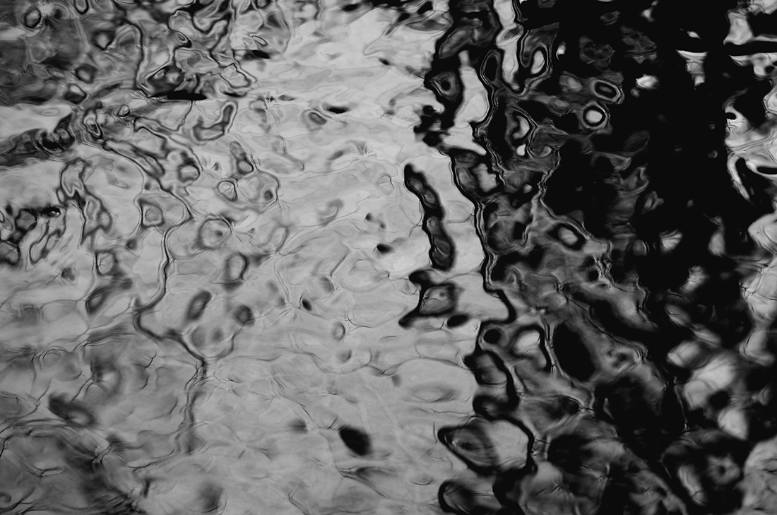 Water branches