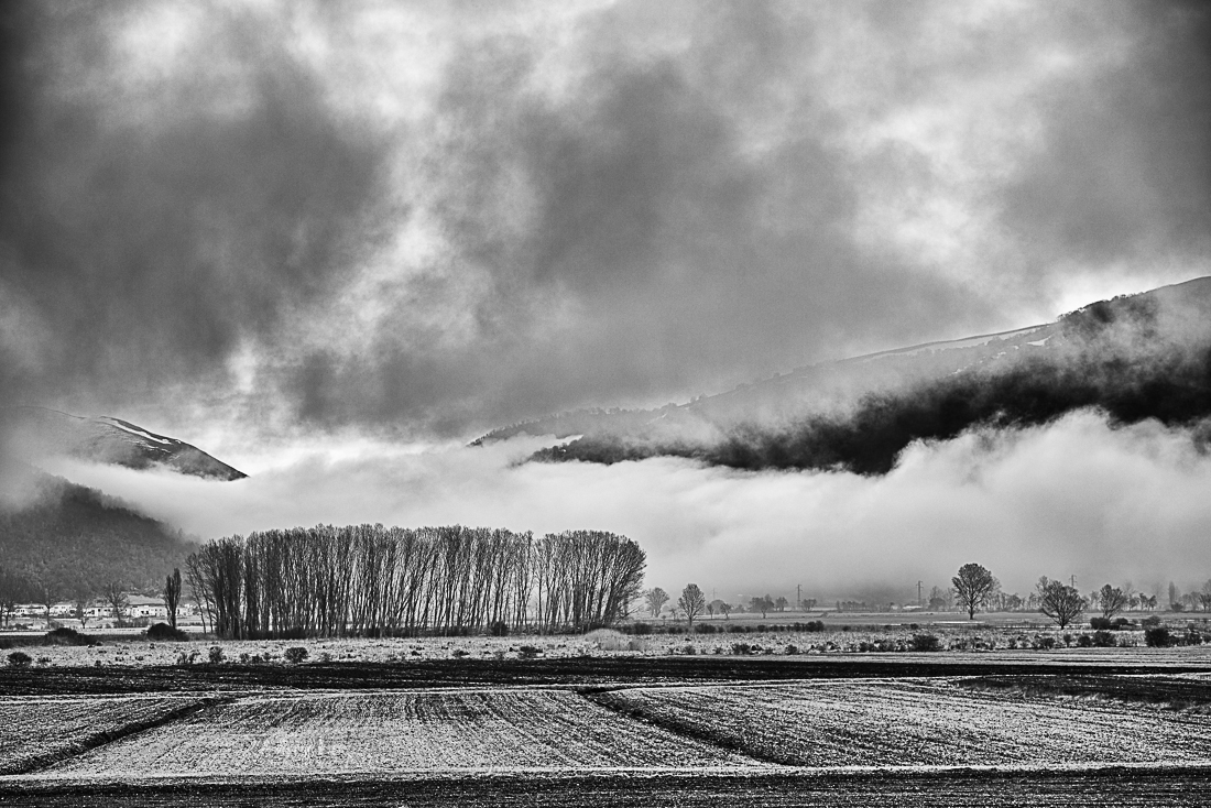 a foggy morning