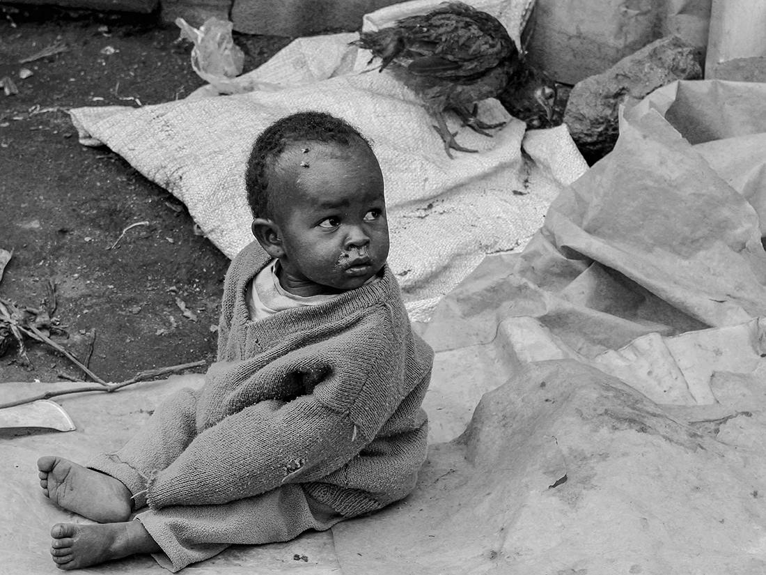 The Children of Dadaab