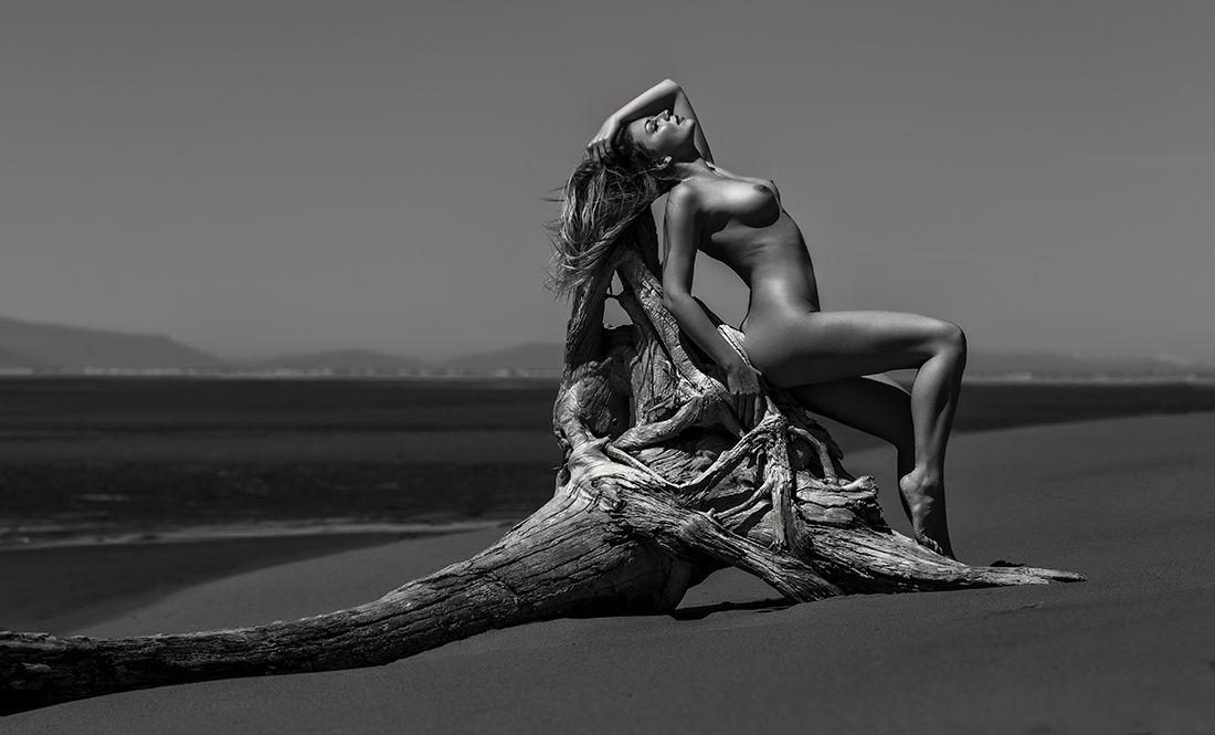 Iona Collection By Marc Boily