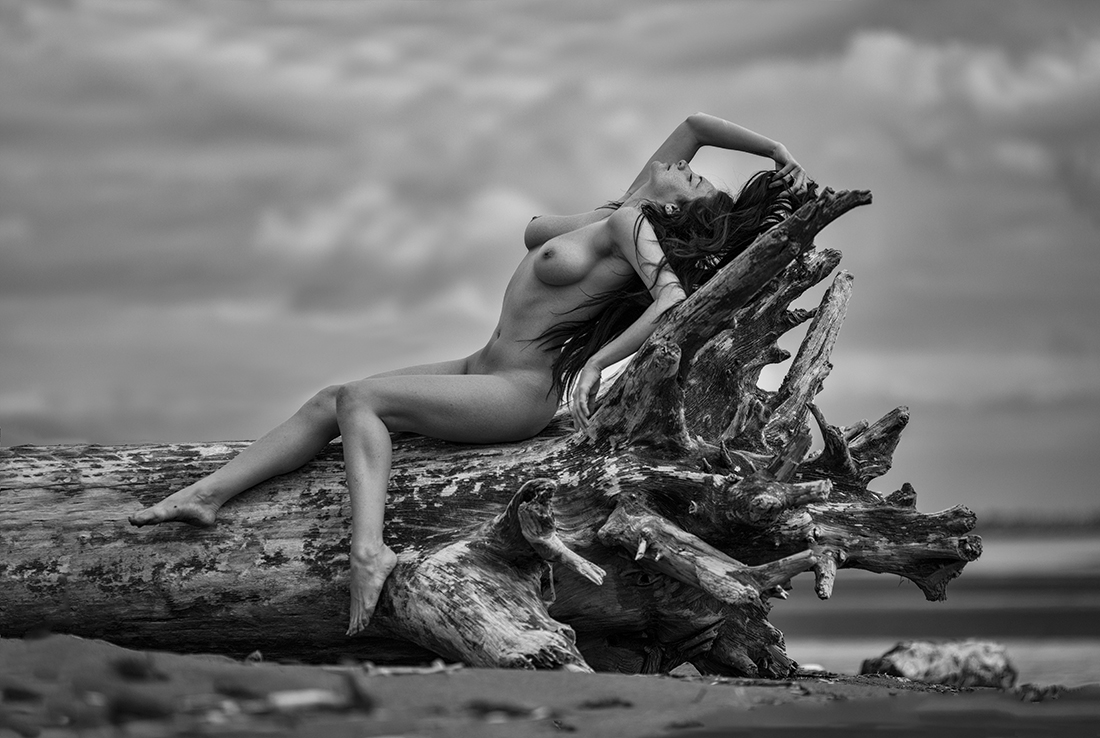 Iona Collection By Marc Boily