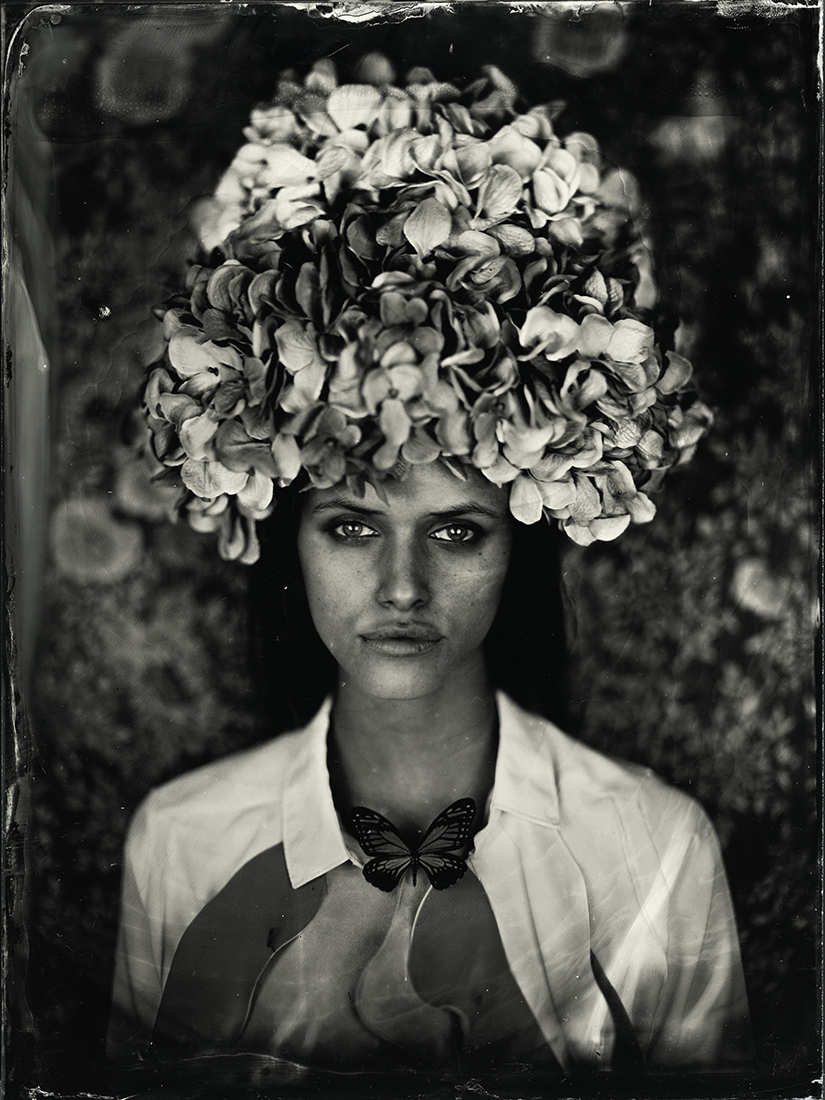 gardenia