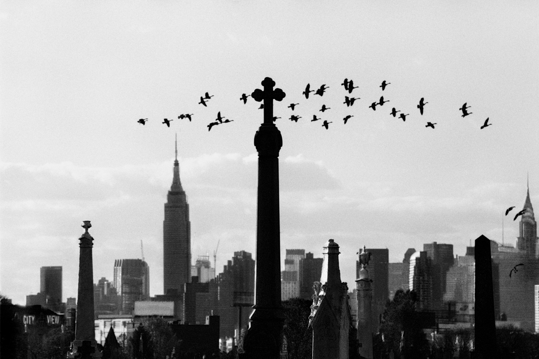 The City View