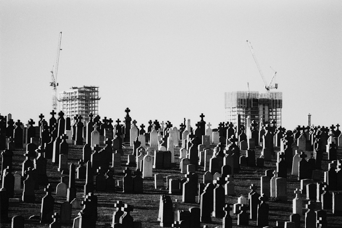 The City View