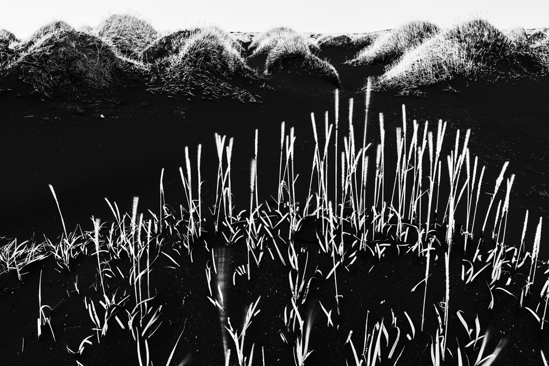 Grassy hills