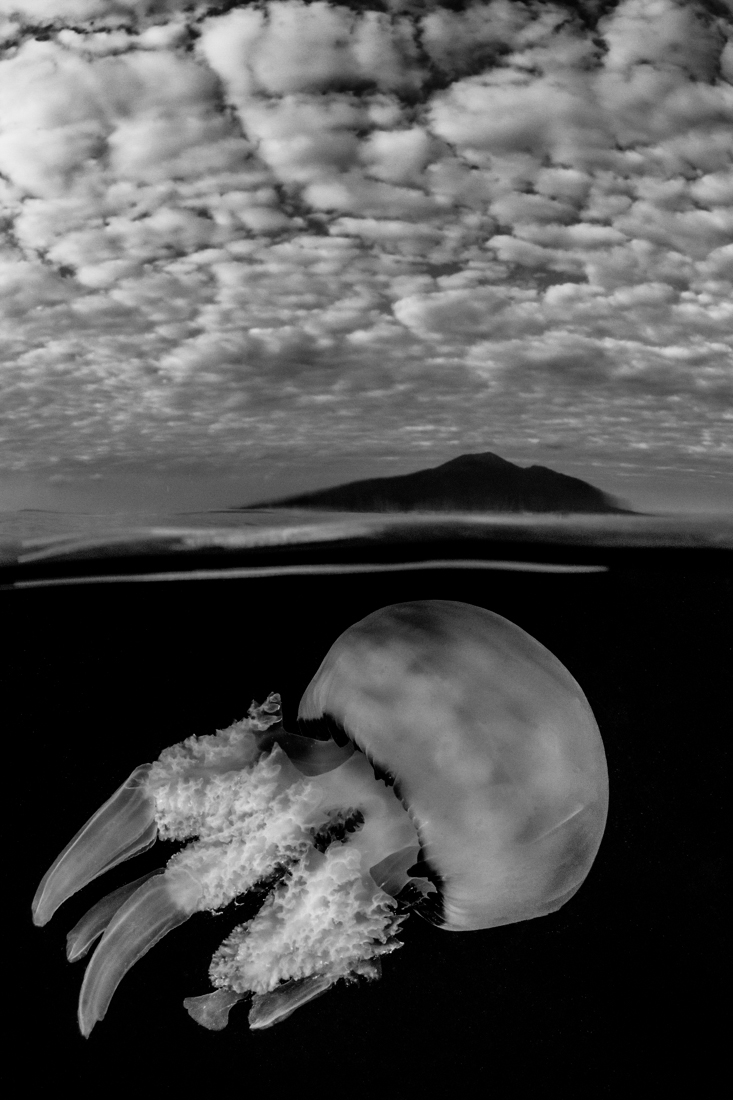 Sorrento Underwater
