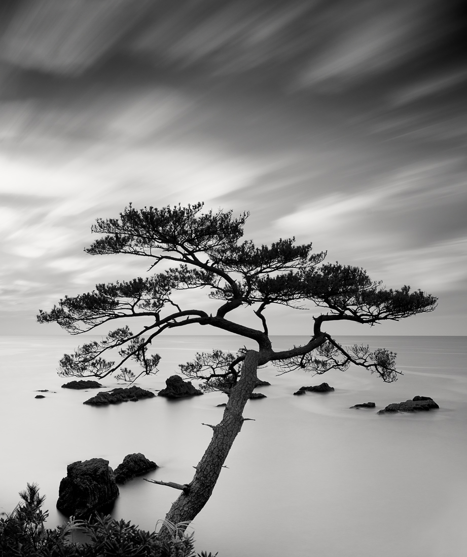 Japan Coastlines