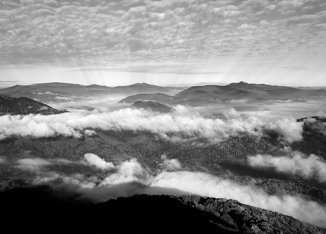Fog and Shadow Rays
