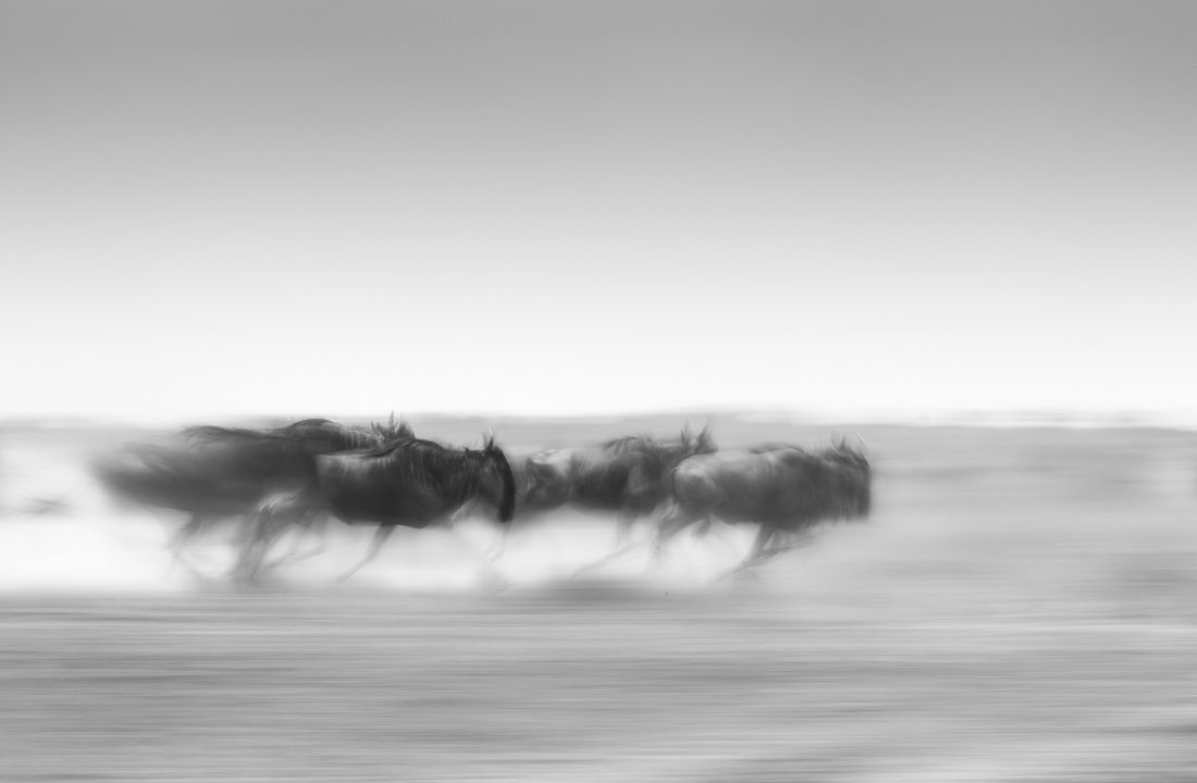 The Race
