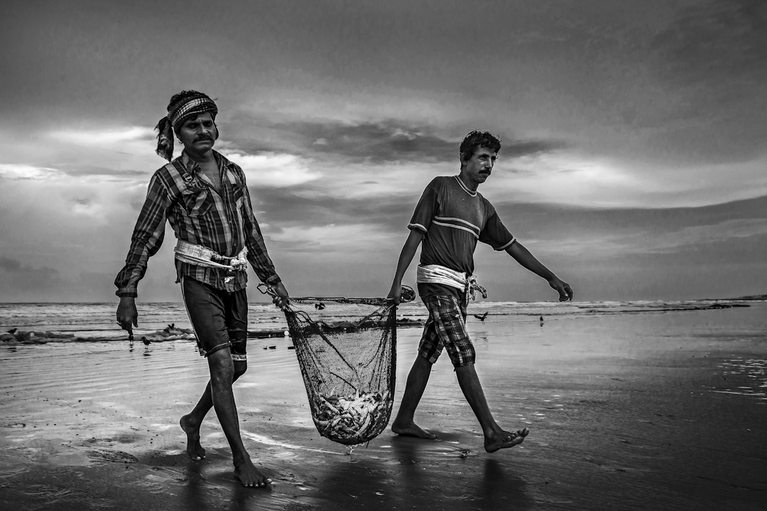 Sea Fishing