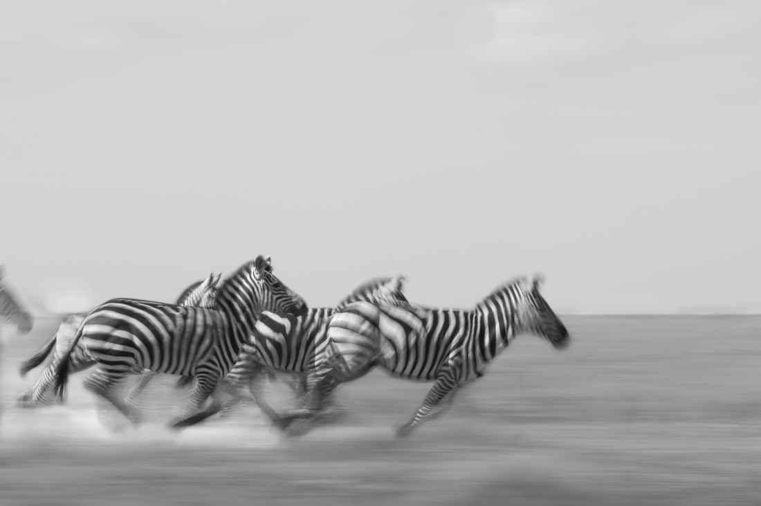 Panning Patterns