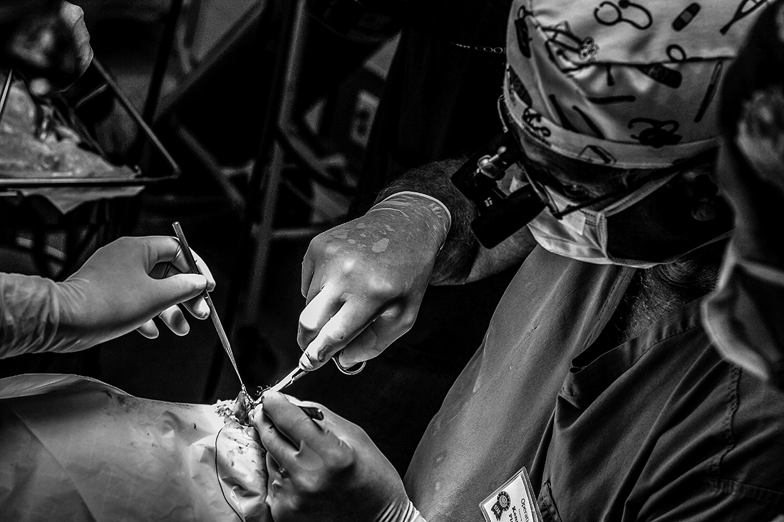 Helping Children Smile Again