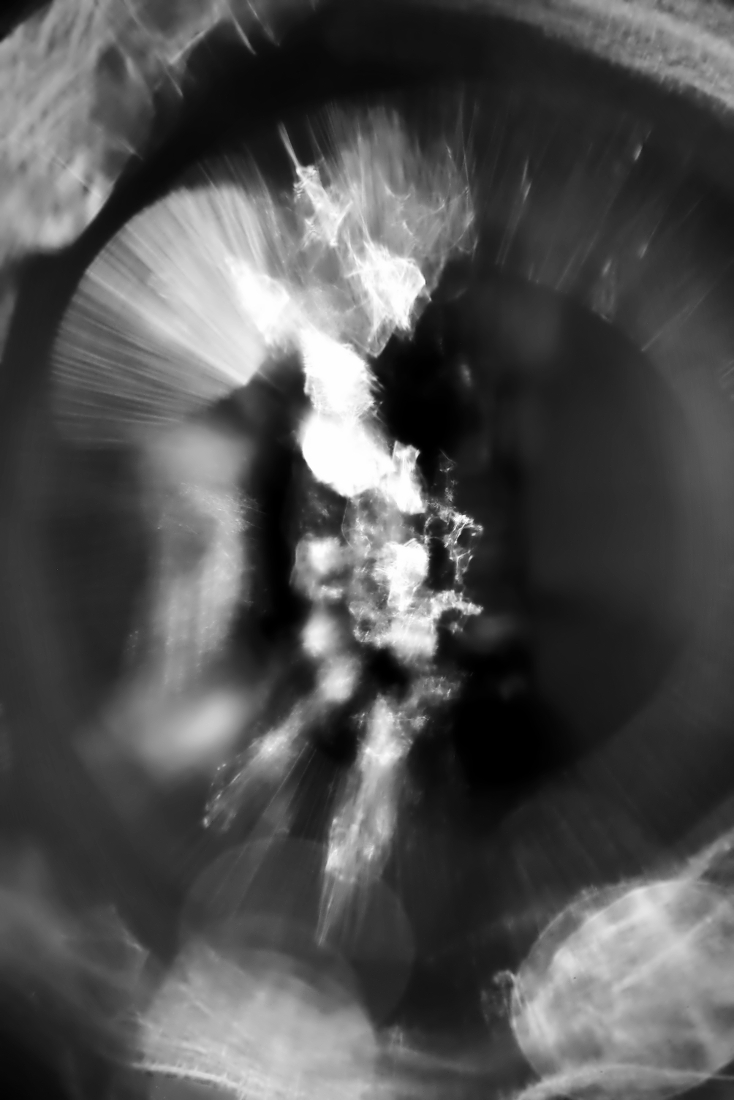 Sentient