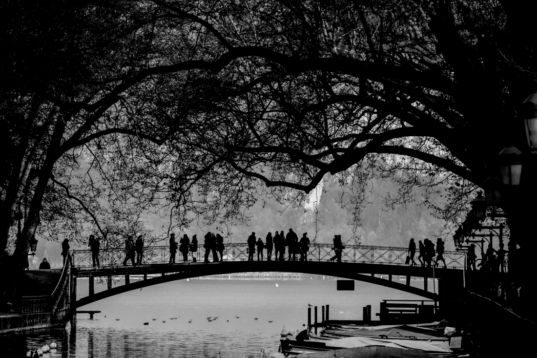 The bridge. 