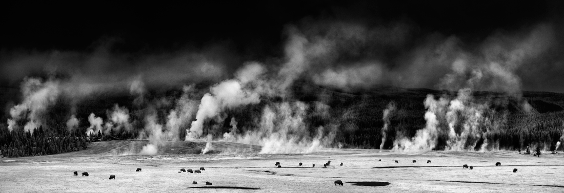  Roaring Earth