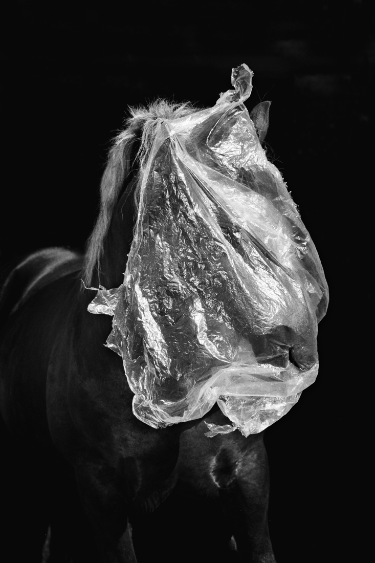 Metamrphosis