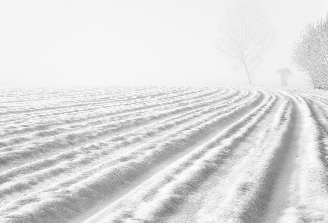 Landscapes enclosed in delicate gossamer phials