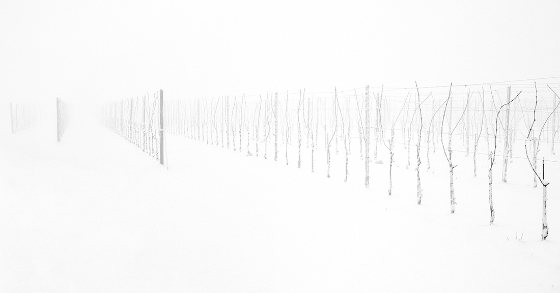 Landscapes enclosed in delicate gossamer phials