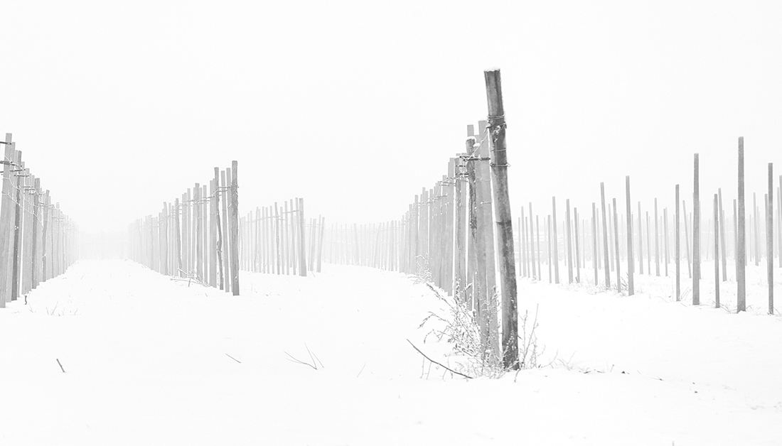 Landscapes enclosed in delicate gossamer phials
