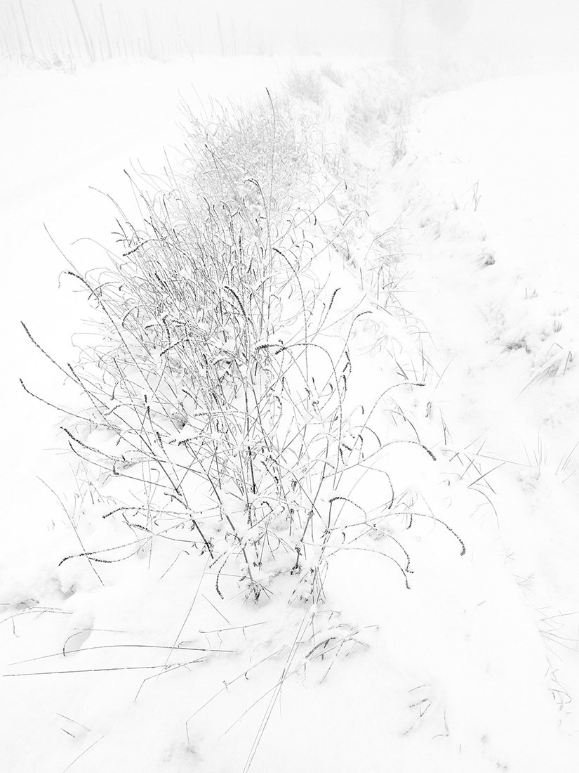Landscapes enclosed in delicate gossamer phials