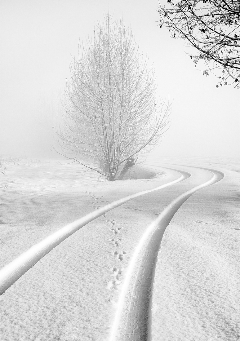 Landscapes enclosed in delicate gossamer phials