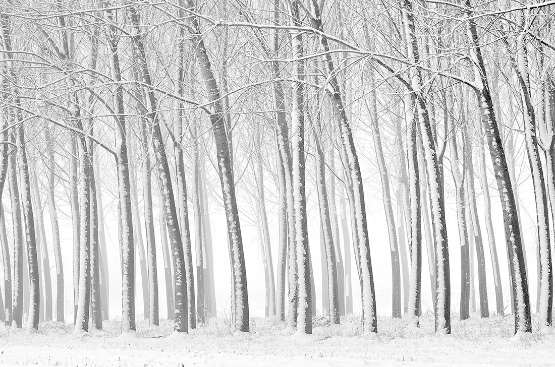 Landscapes enclosed in delicate gossamer phials