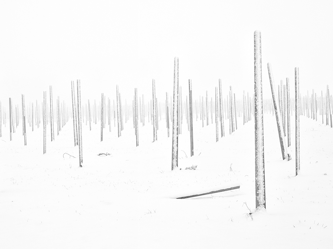 Landscapes enclosed in delicate gossamer phials