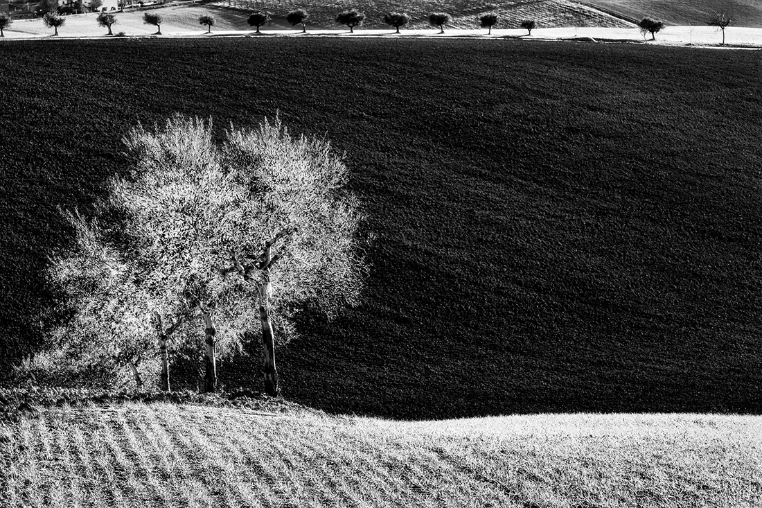 ombre di luce_010