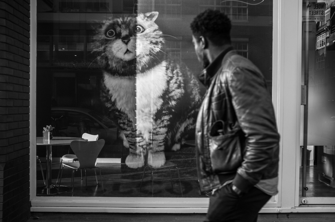 Street Life by Julian Crowe