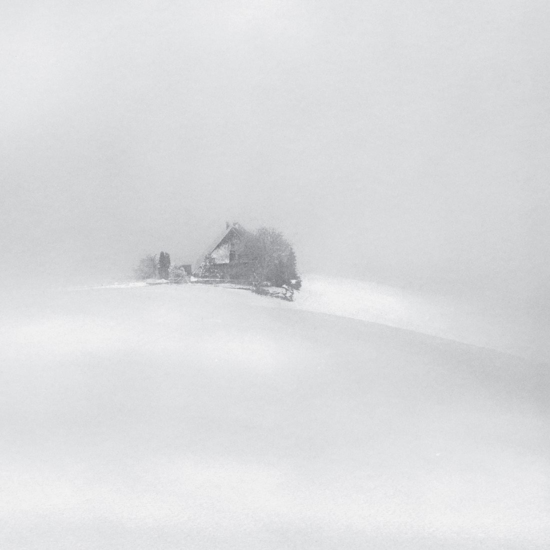 Living in the fog