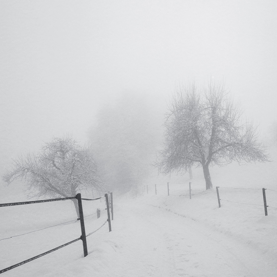 way of fog