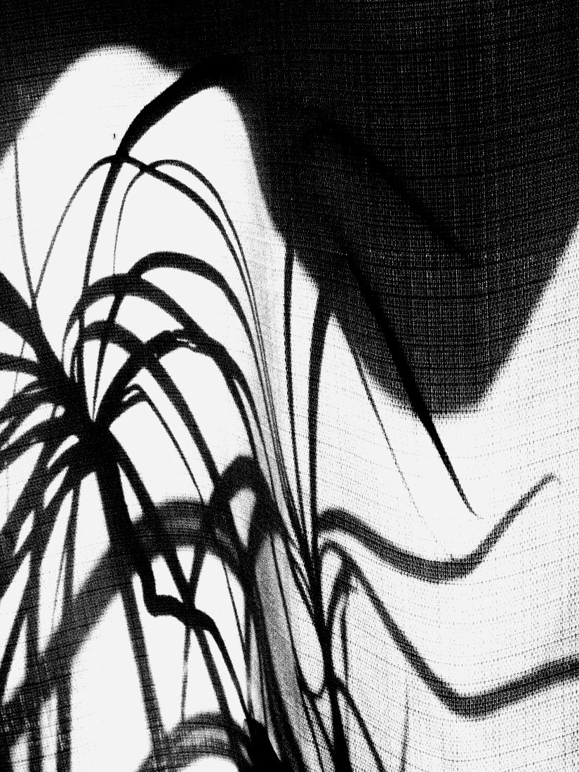 Home Tales, part 1 - Morning Perceptions