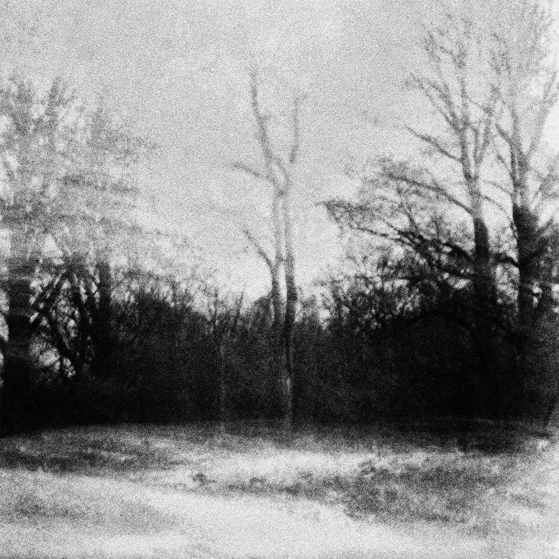 Winter mist