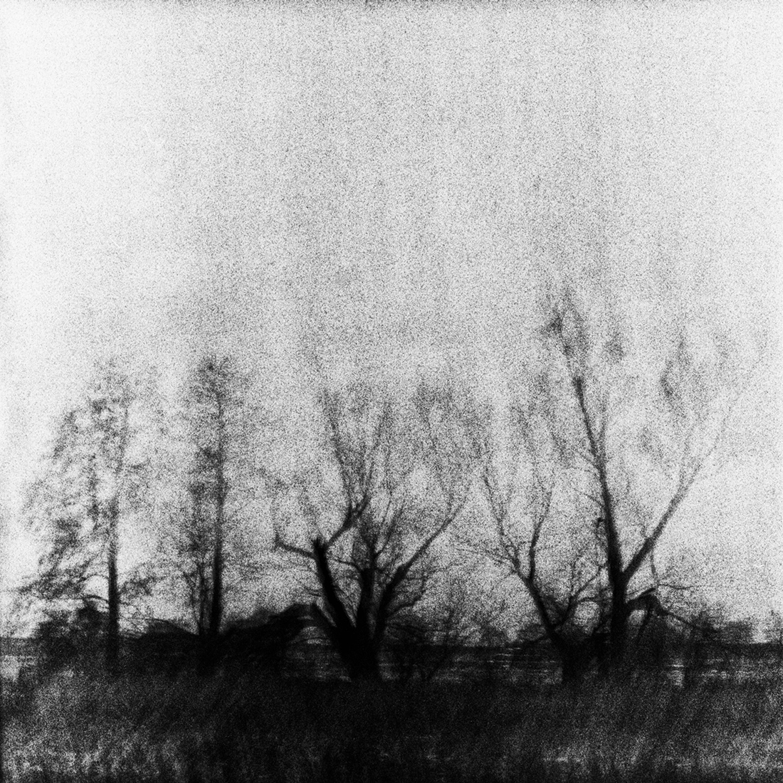 Winter mist
