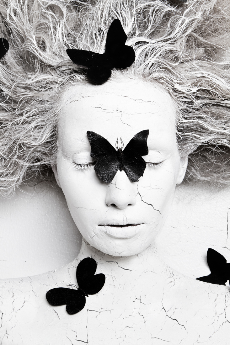 Metamorphosis. Black Butterfly