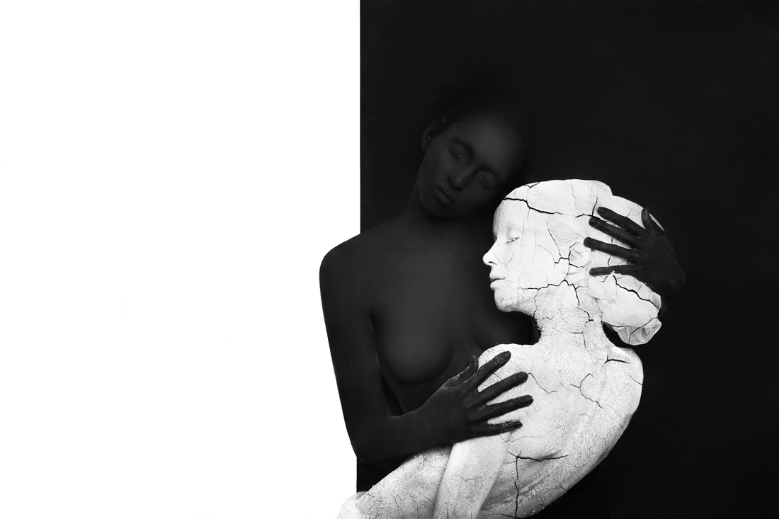 Metamorphosis. Black Butterfly