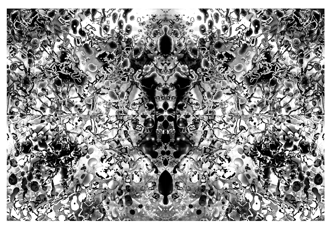 WonderLand Series