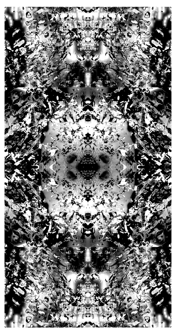 WonderLand Series