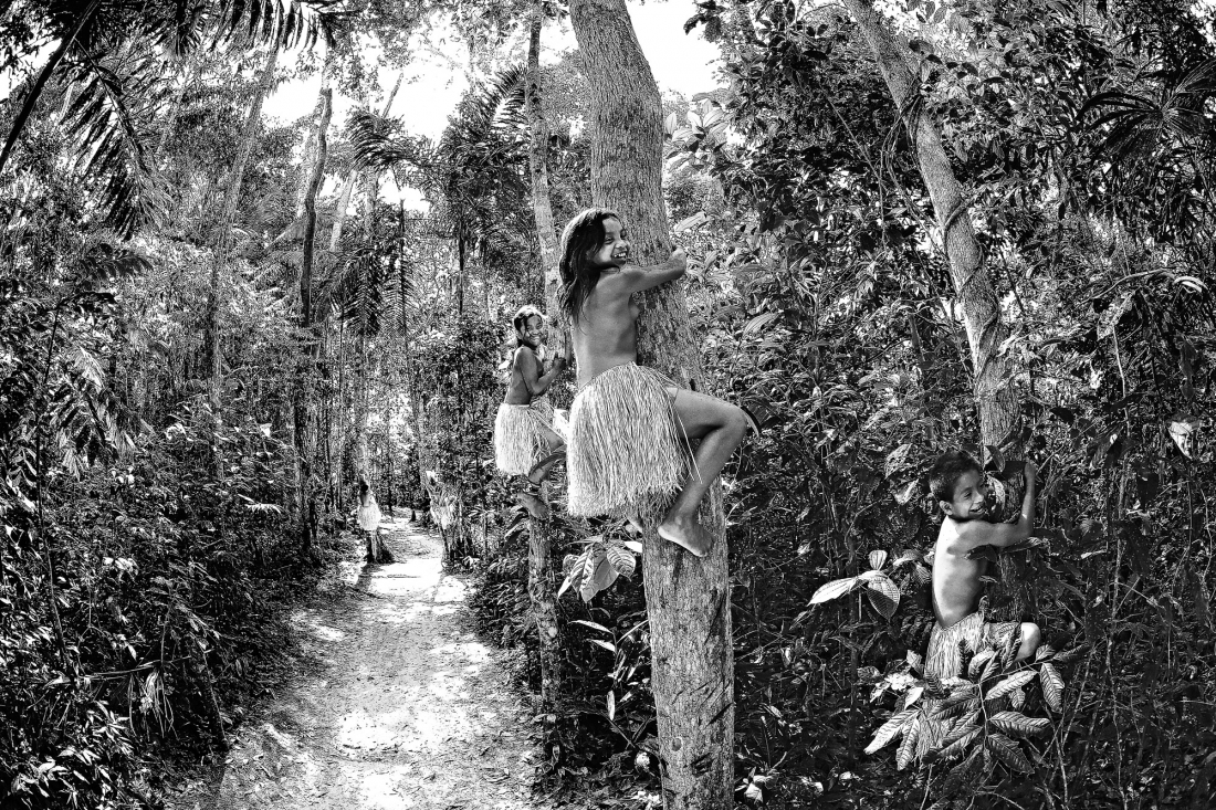 BRAZILIAN INDIANS 