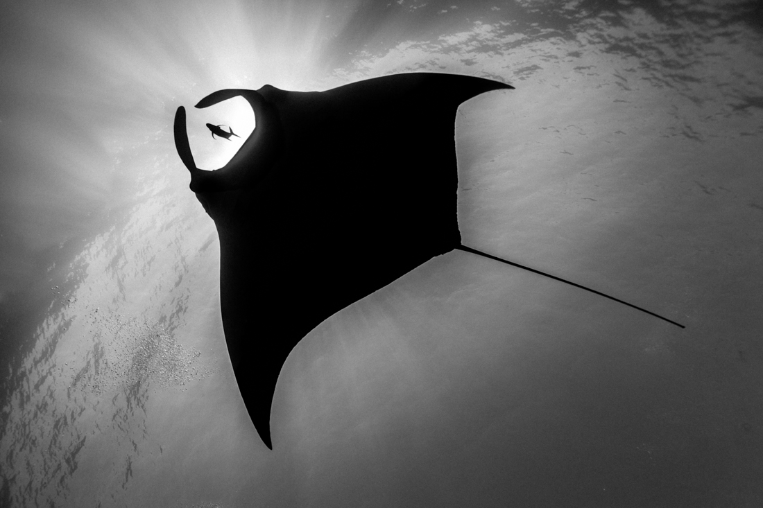 Jack and Manta 