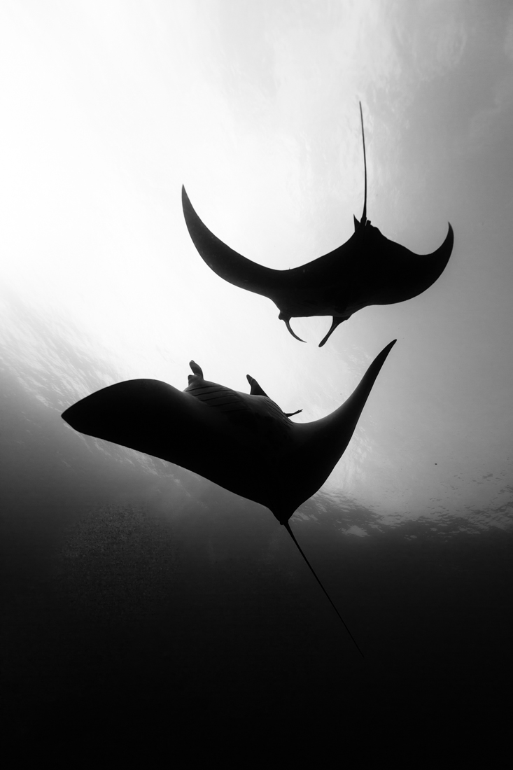 Underwater ballet