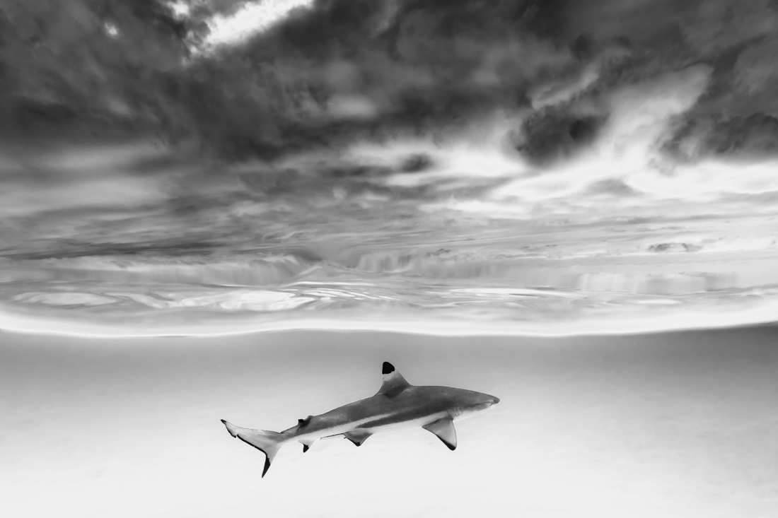 mixed worlds